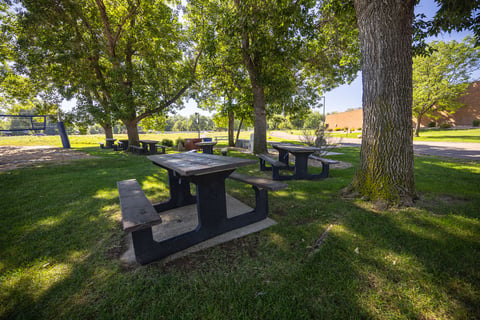 Commercial maintenance picnic tables 