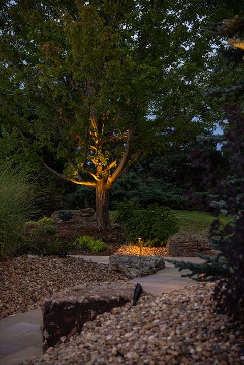 Residential landscape design outdoor lighting tree uplighting 4