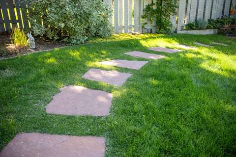 residential landscape deisgn with paver walkway